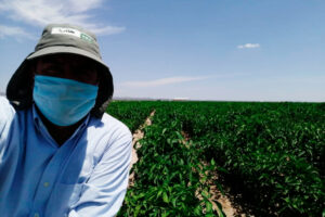 agro-ipsa-pyme-que-sabe-adaptarse-a-cambios