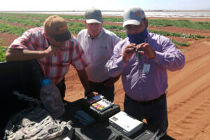agro-ipsa-pyme-que-sabe-adaptarse-a-cambios