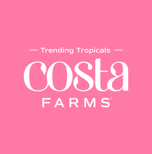 Costa Farms Rebrand and national campaign launch Agency Squid