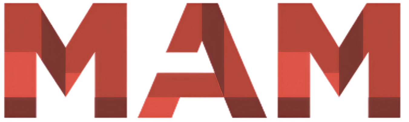Client or partner logo