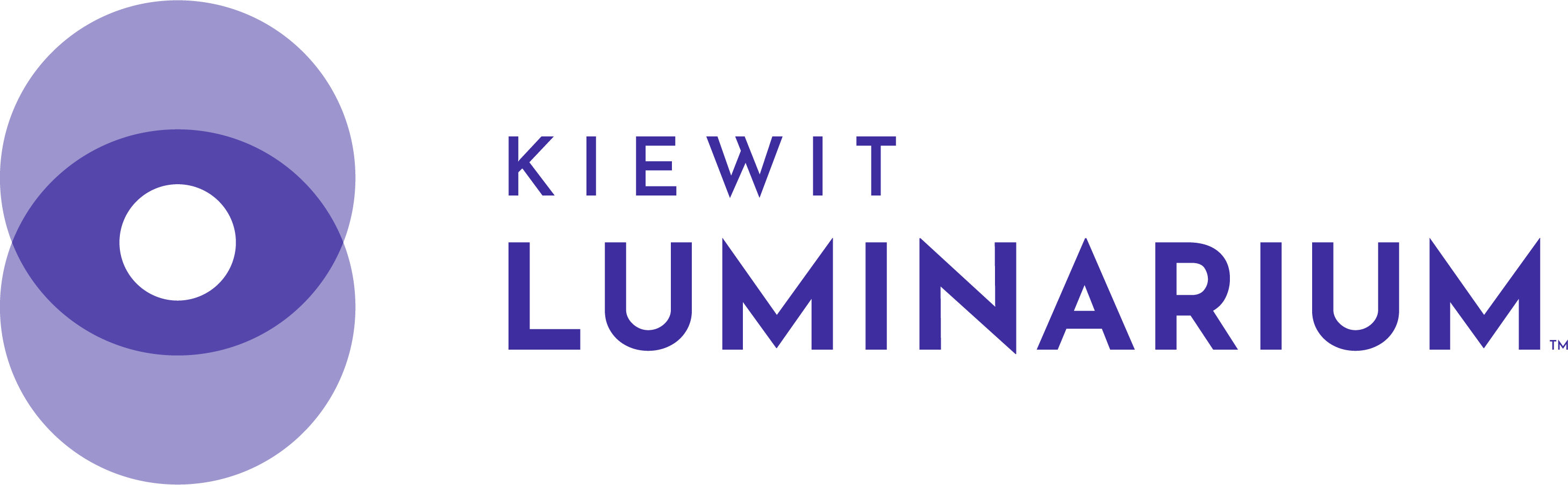 Client or partner logo