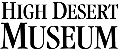 Client or partner logo