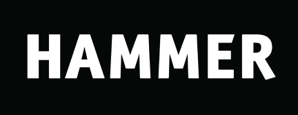 Client or partner logo