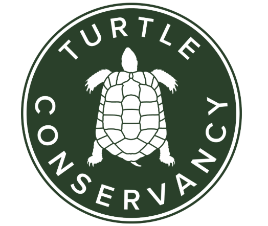 Client or partner logo