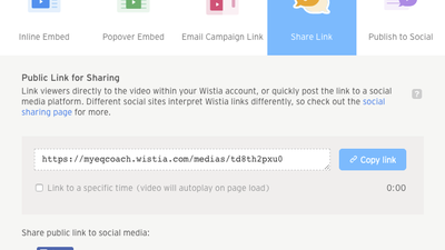 Retrieving a share link on a Wistia video.