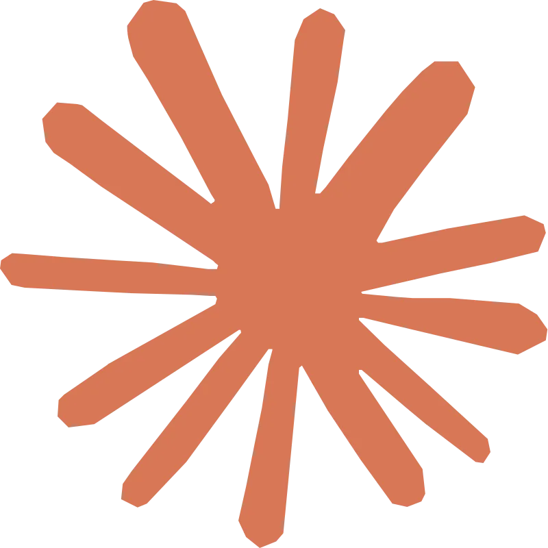 Feature Icon 