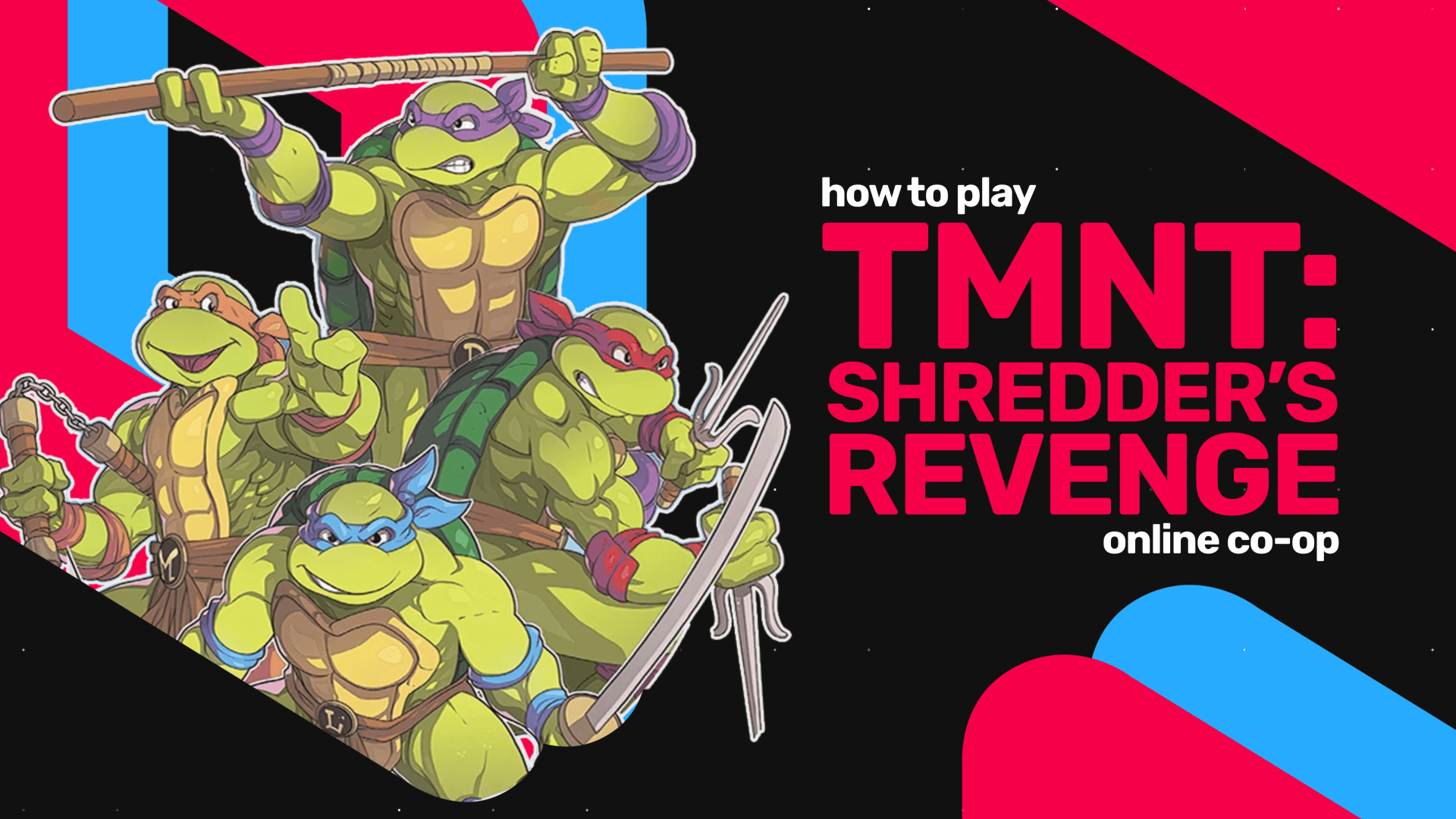 Teenage mutant ninja turtles 2025 cartoon online