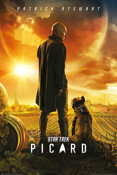 Star Trek Picard Poster
