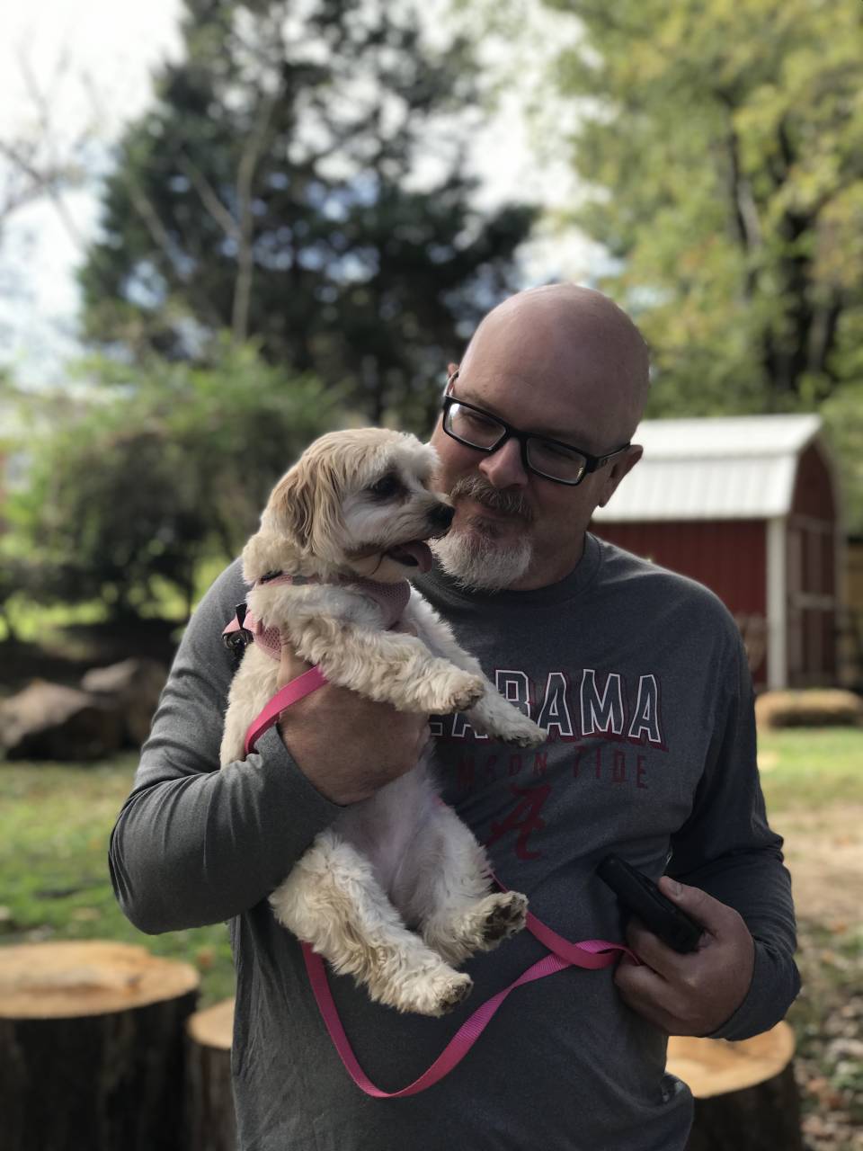 Pet Moving Pet Transportation Pet Relocation CitizenShipper