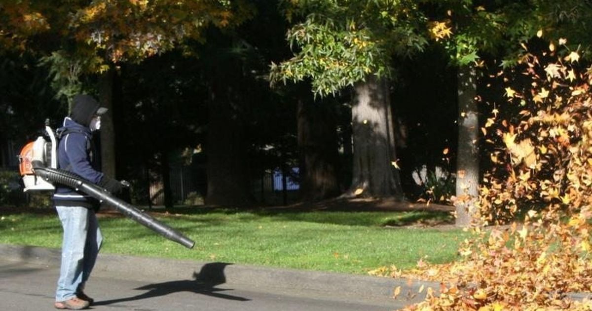 Slow Progress On Gas Leaf Blower Laws Town Of Huntington And Northport