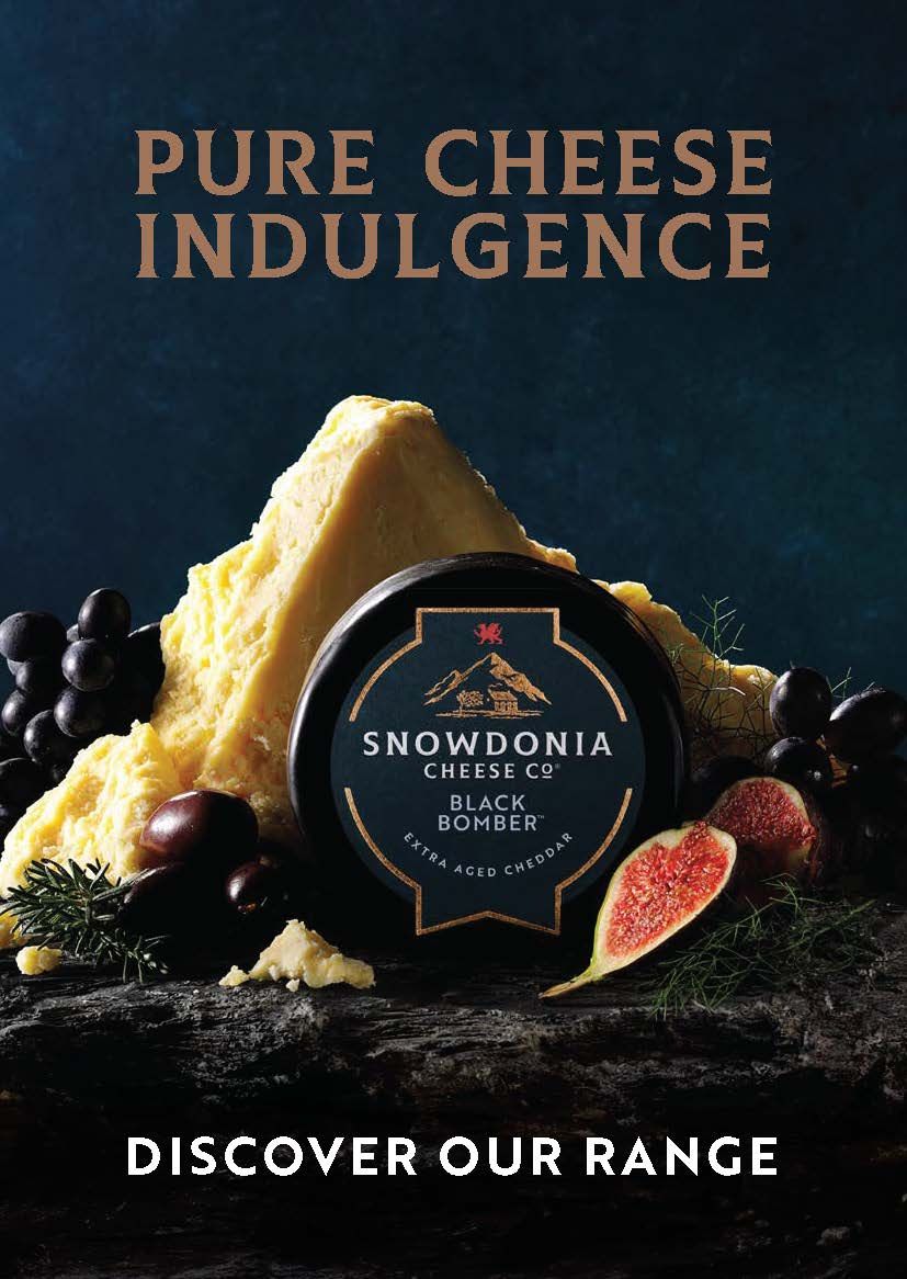 Snowdonia Brochure