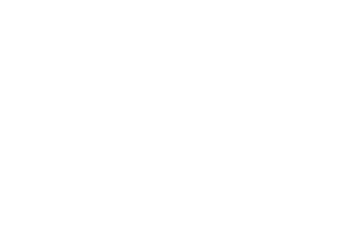 Logo with a fish hidden in between a "H" and "C" letter. 