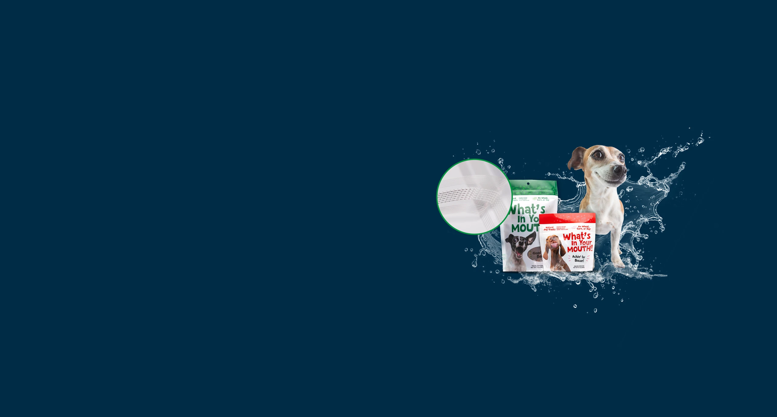 Dog with two custom stand up pouches of dog treats, splashing water effect on a dark blue background.