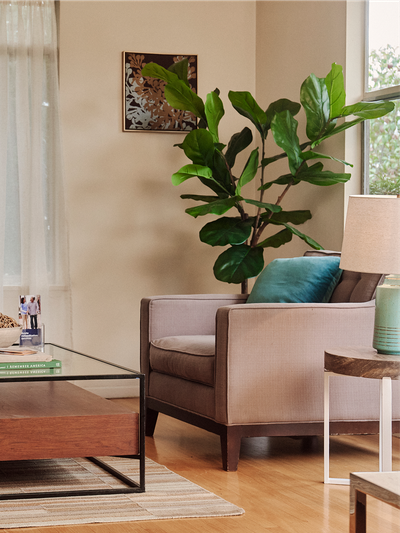A calm waiting room at a long term care facility with a large plant, empty chair, and coffee table.
