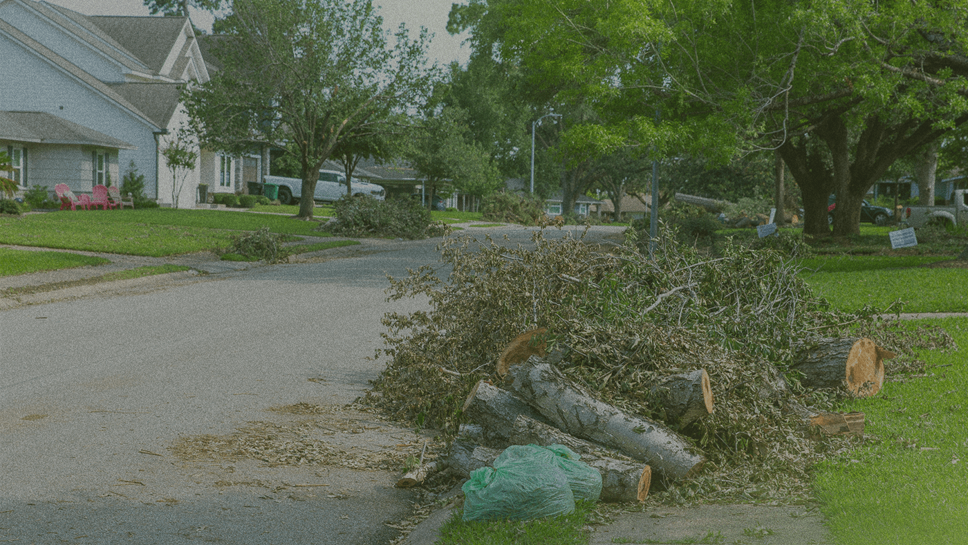 Piles of tree branches and logs on a suburban street, likely after a storm, with houses and green lawns in the background.