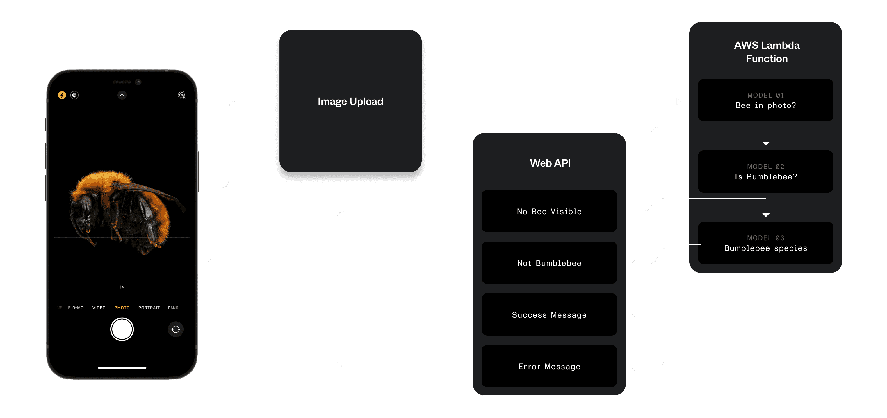 A wireframe illustration outlining the future-vision tech stack. A user uploads a photo, which is then uploaded to an AWS Lambda function(s) which processes the photo, scanning for bumblebees and outputs a species if one exists. This data is then passed to a web API, outputting if a bee is visible or not as well as a success or error message.