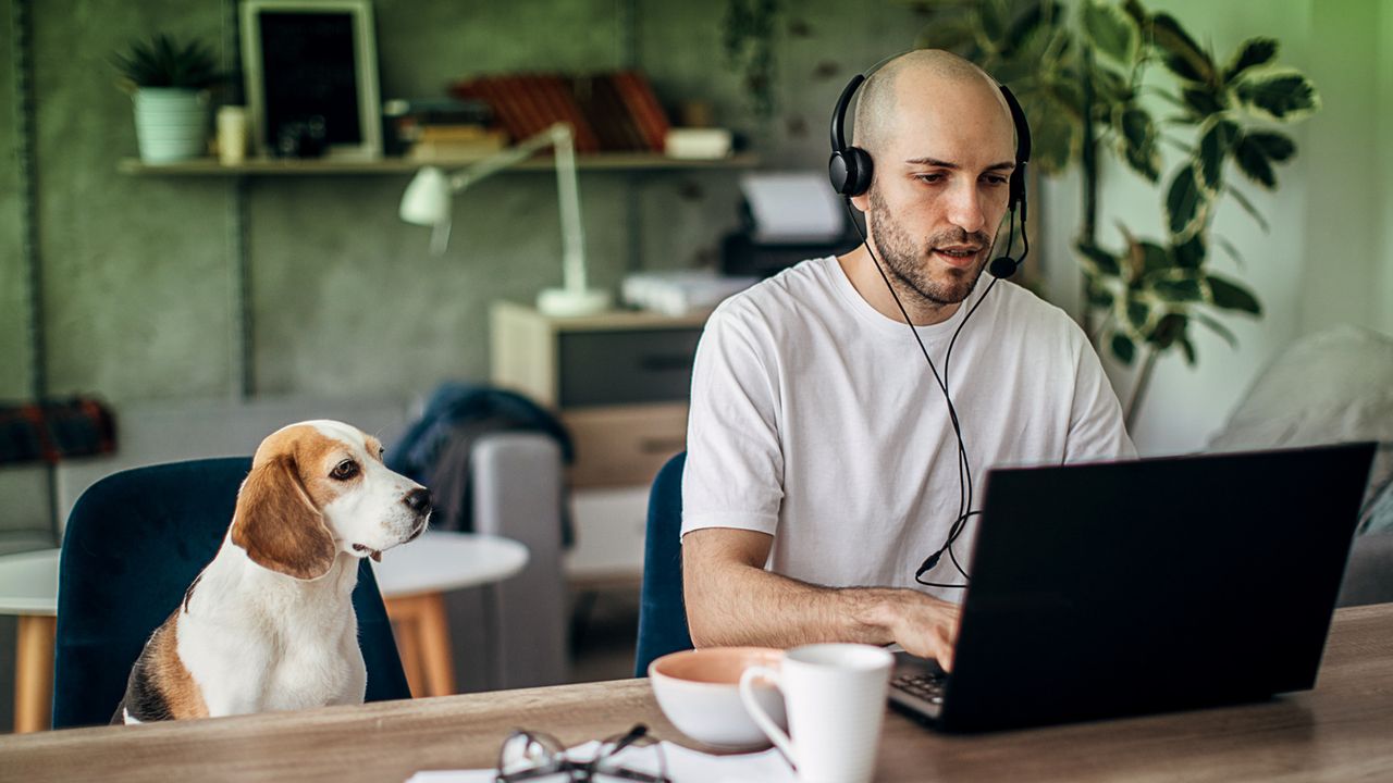 A remote worker sitting at their desk working on their laptop. Their Dog is sitting next to them and looking at the screen.