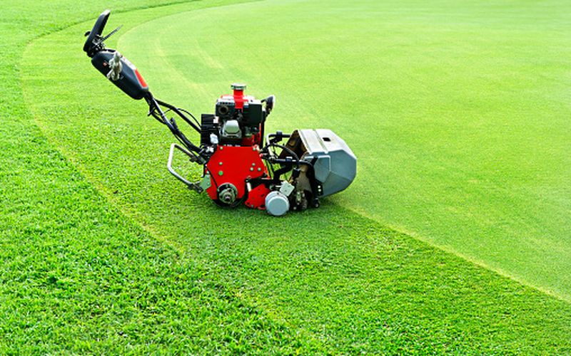 Everything you want to know about Power Rakes