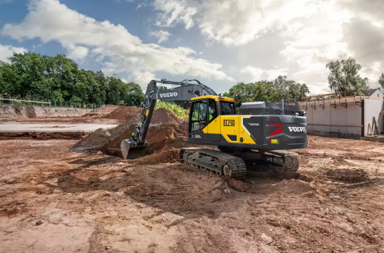 ウツボページ 巨大ウツボ（学術名 Gymnothorax javanicus）（左）とハードヘッド