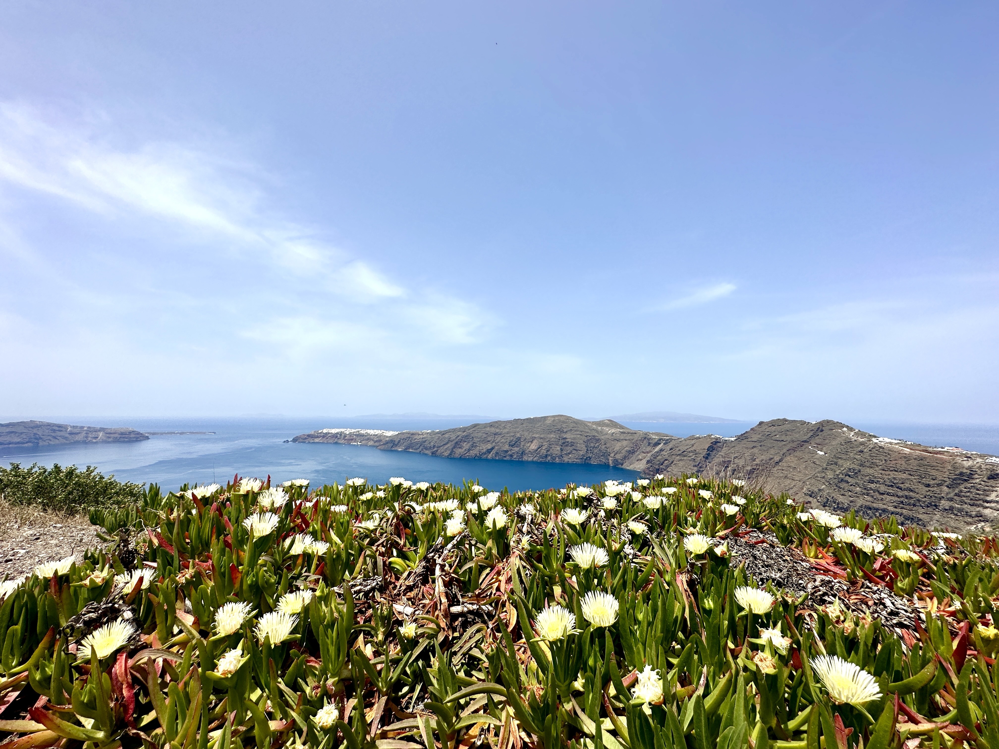 UNDER THE SIGN OF THE EAGLE by Biblioteca Militare - Issuu, image size:4032x3024