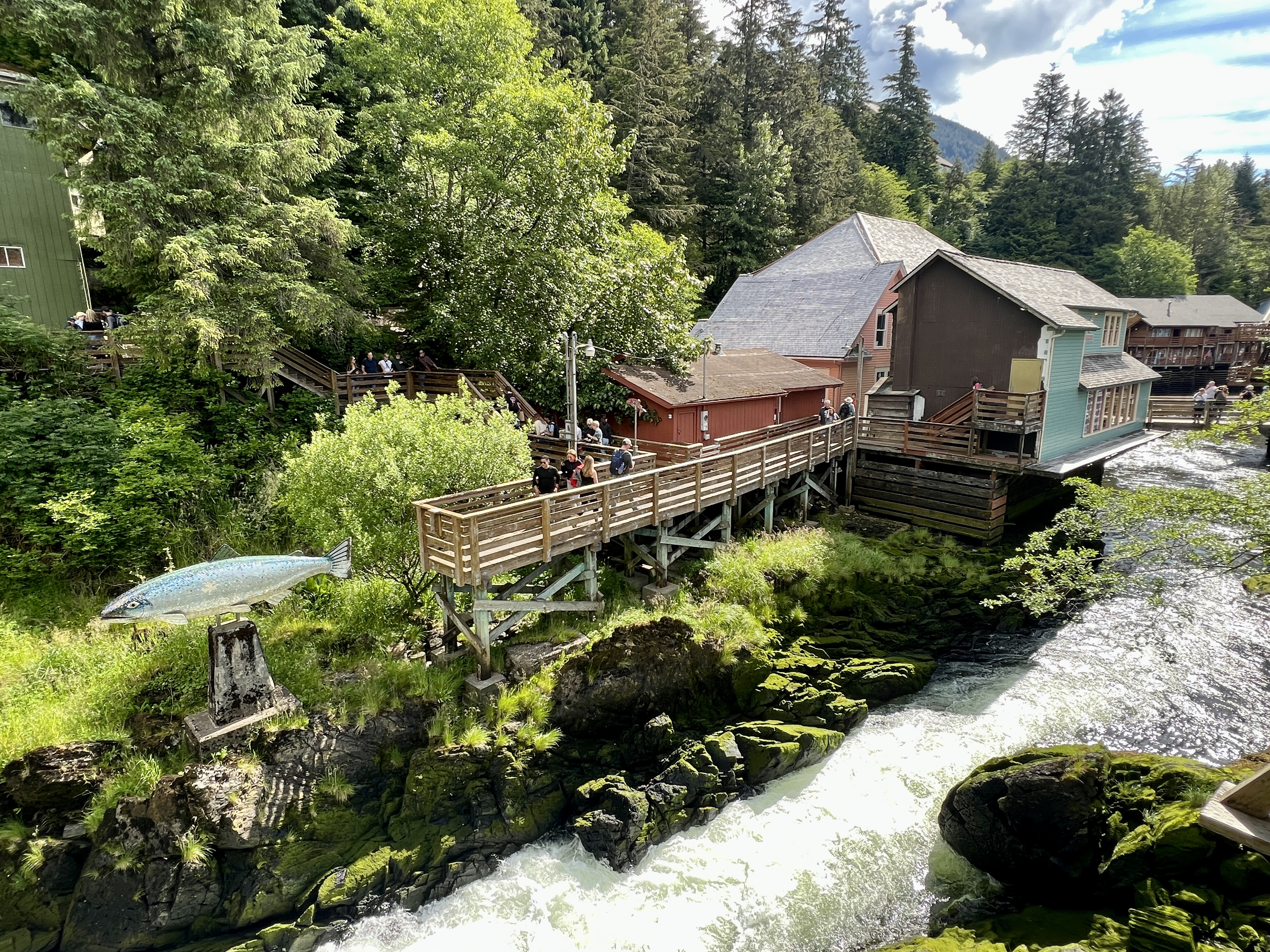 Ketchikan's New Salmon Walk Offers Cruisers Nature Options - Vimarsana News