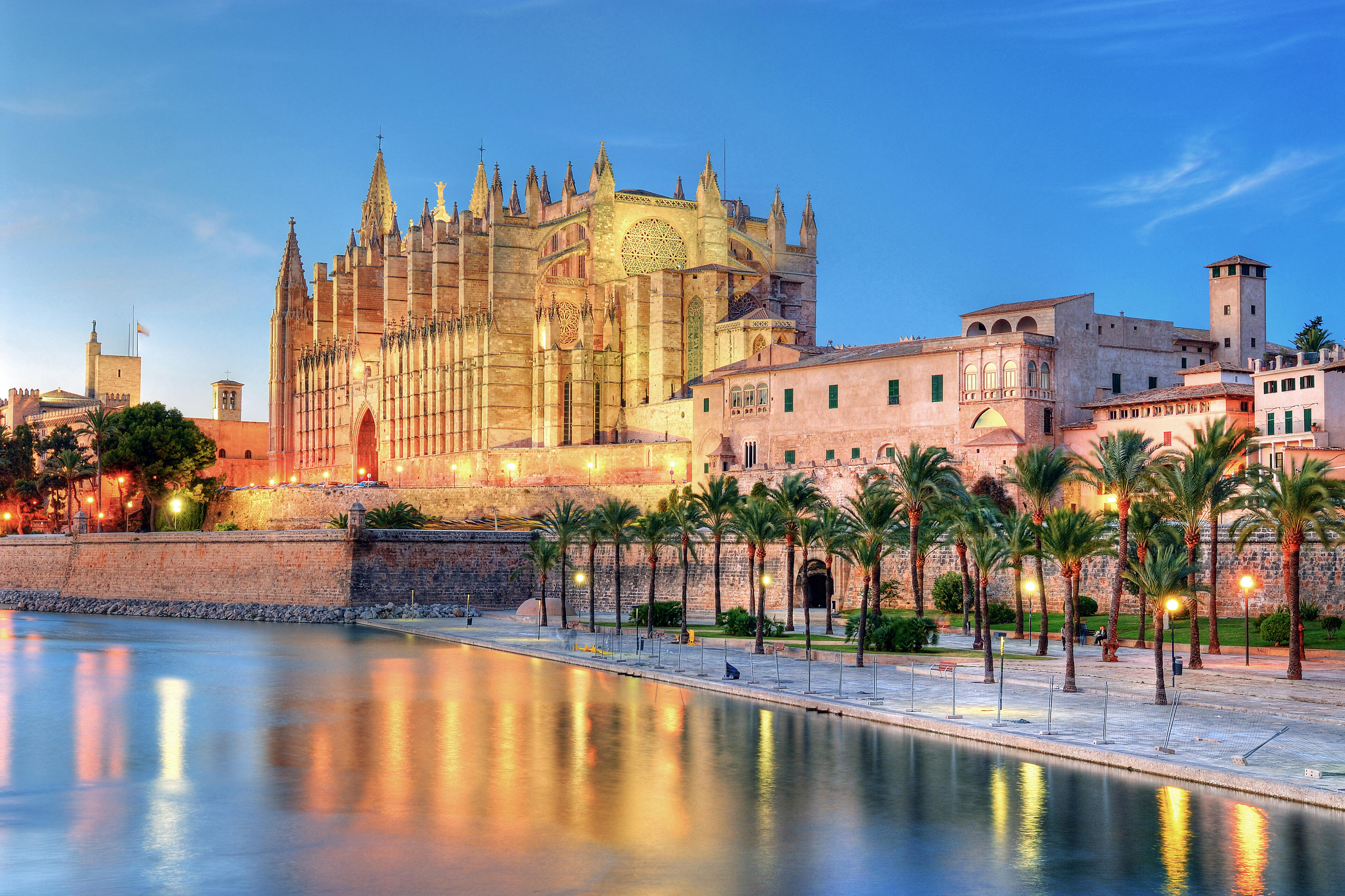 9 Best Types of Cruise Packages - Vimarsana News
