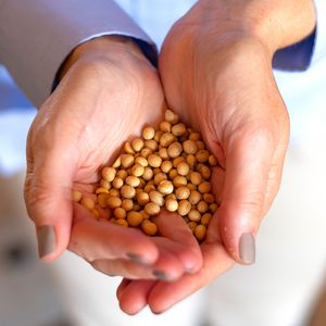 Up close of a persons hands holding seeds