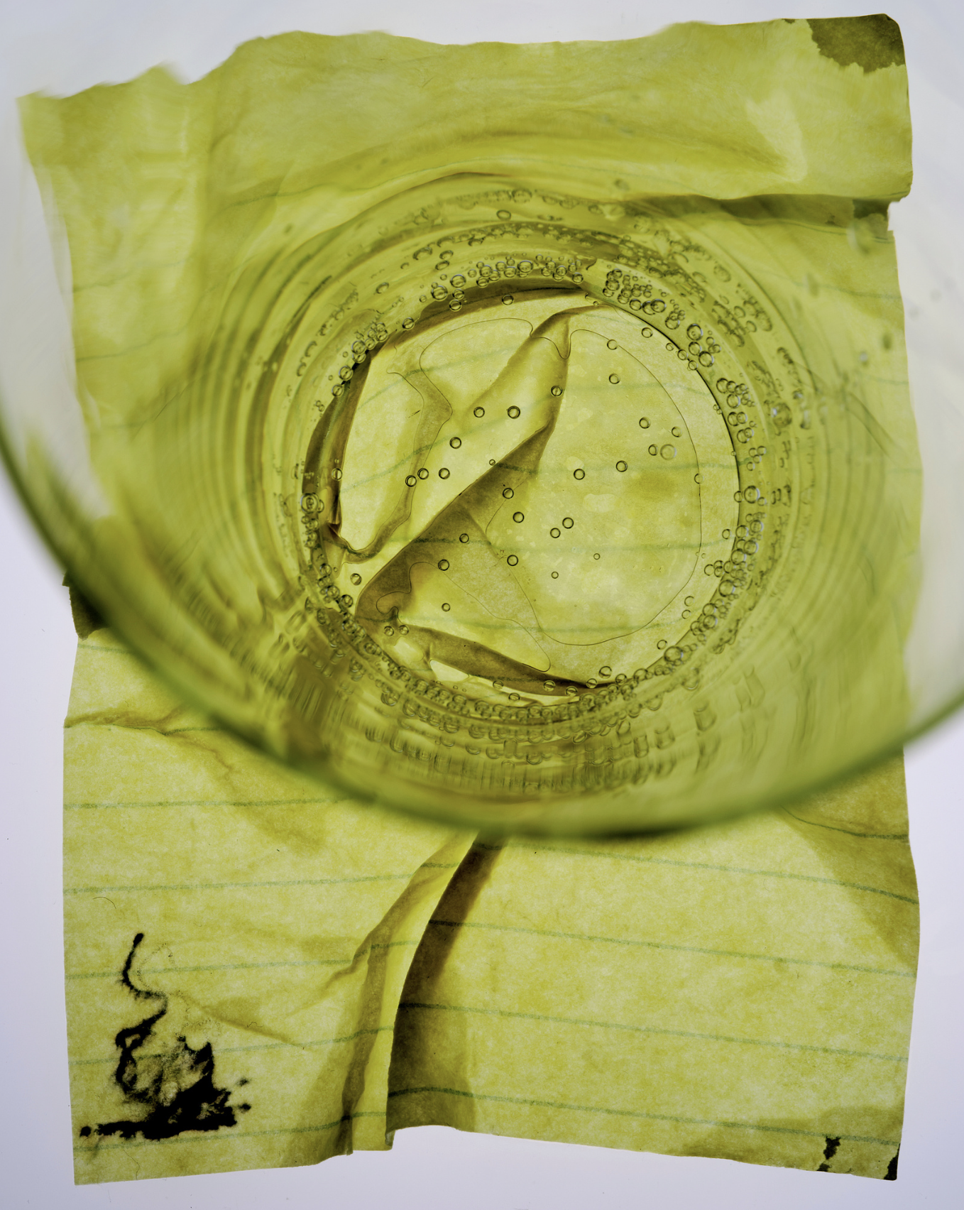 Steven John MinerPhotographer