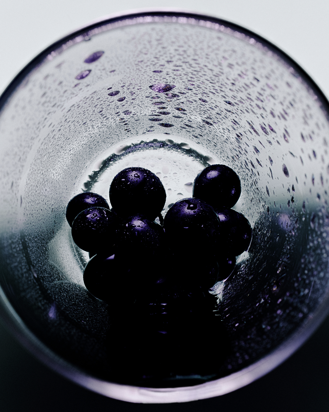 Steven John MinerPhotographer