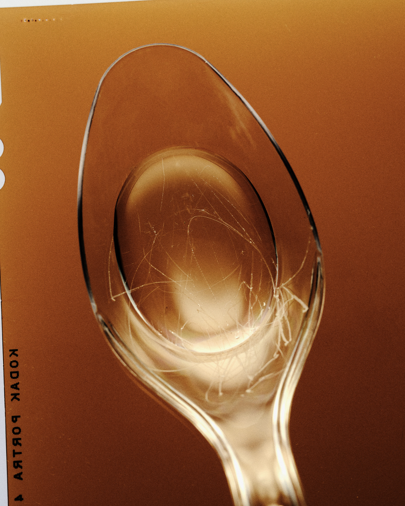 Steven John MinerPhotographer