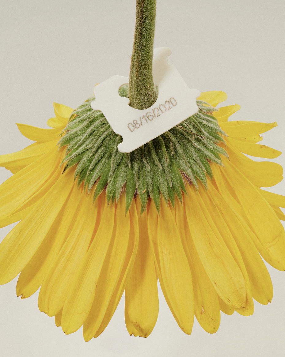 Steven John MinerPhotographer