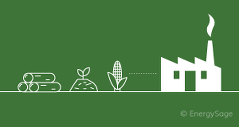 Biomass Energy: Advantages and Disadvantages | EnergySage