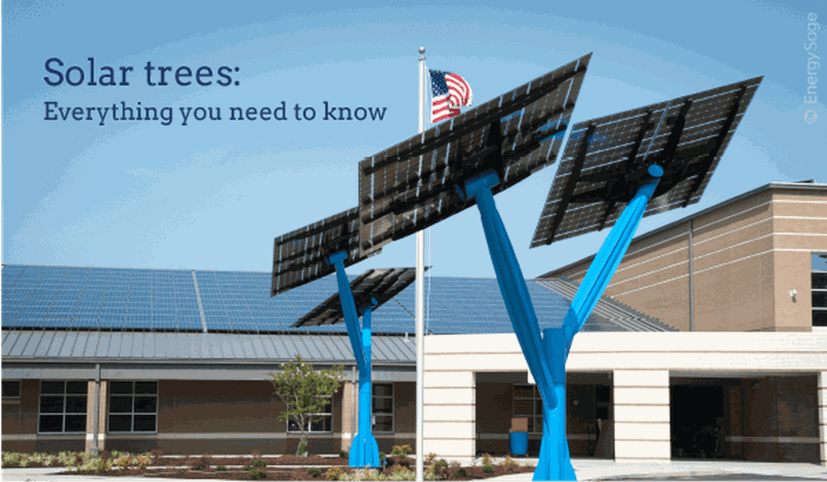 solar trees review