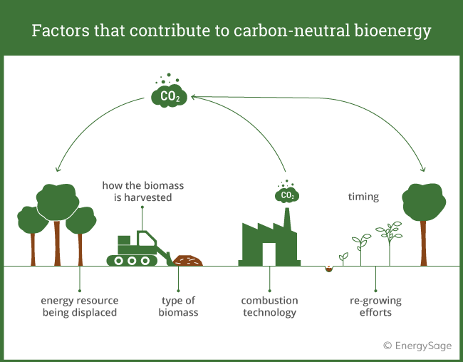 The Environmental Impacts of Biomass Energy EnergySage