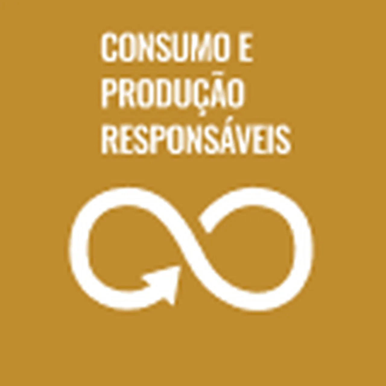 Consumo e Produção Responsáveis