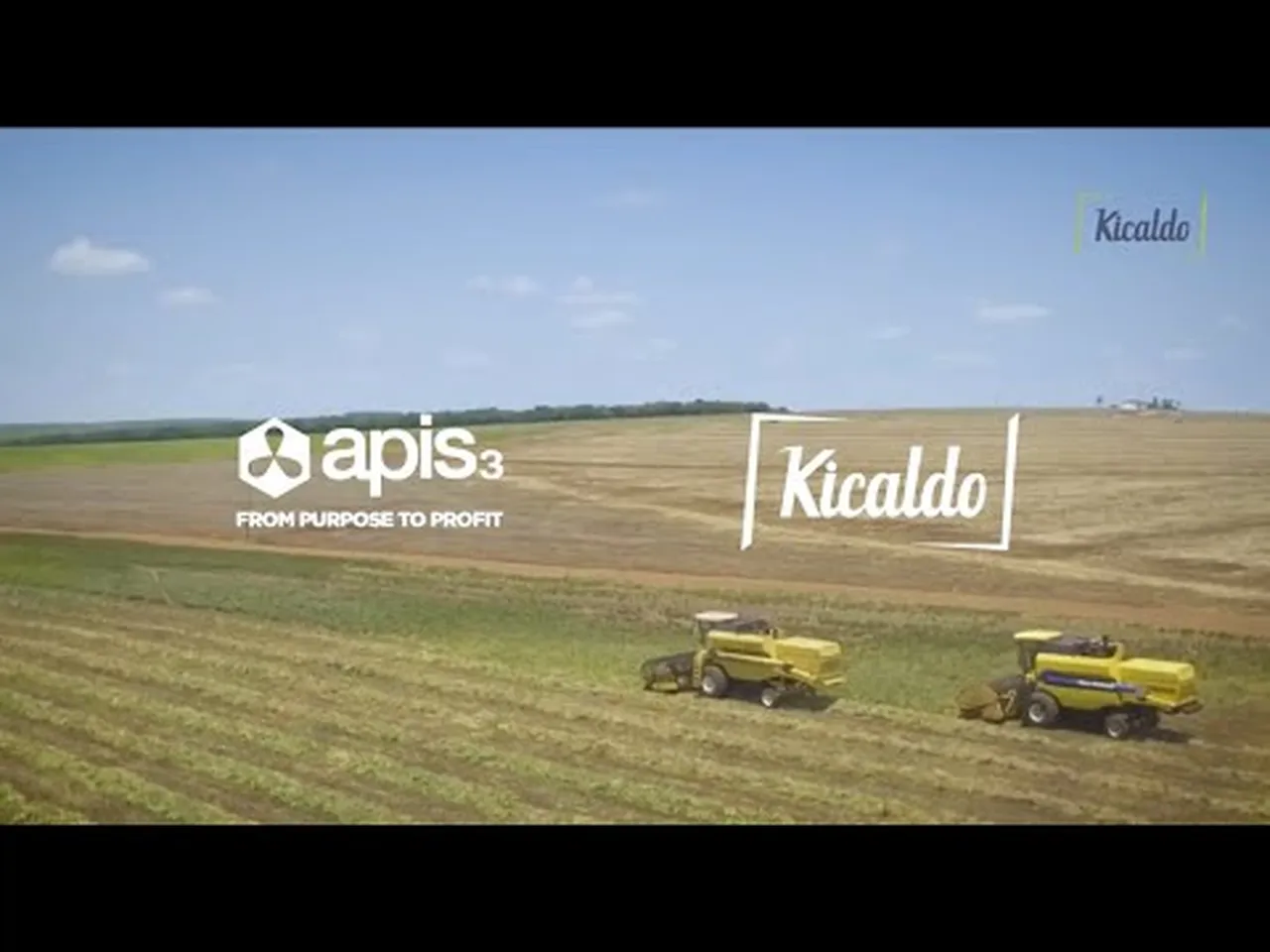 Vídeo de Apresentação apis3