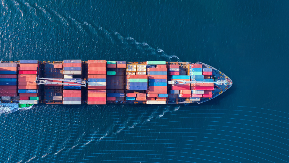How to Transform Customs Operations in the Digital Age