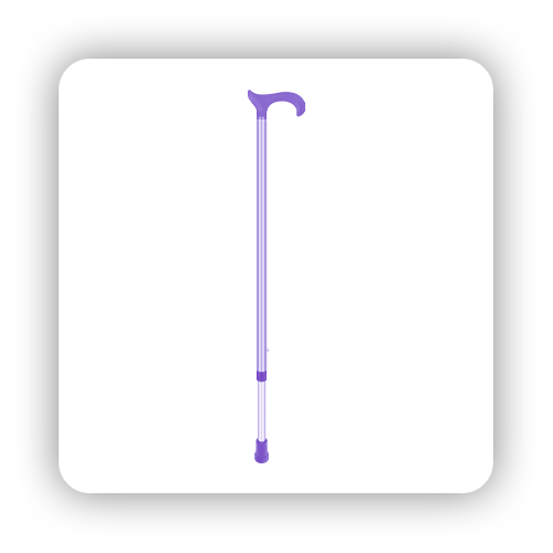 Cane with Shaft Handle