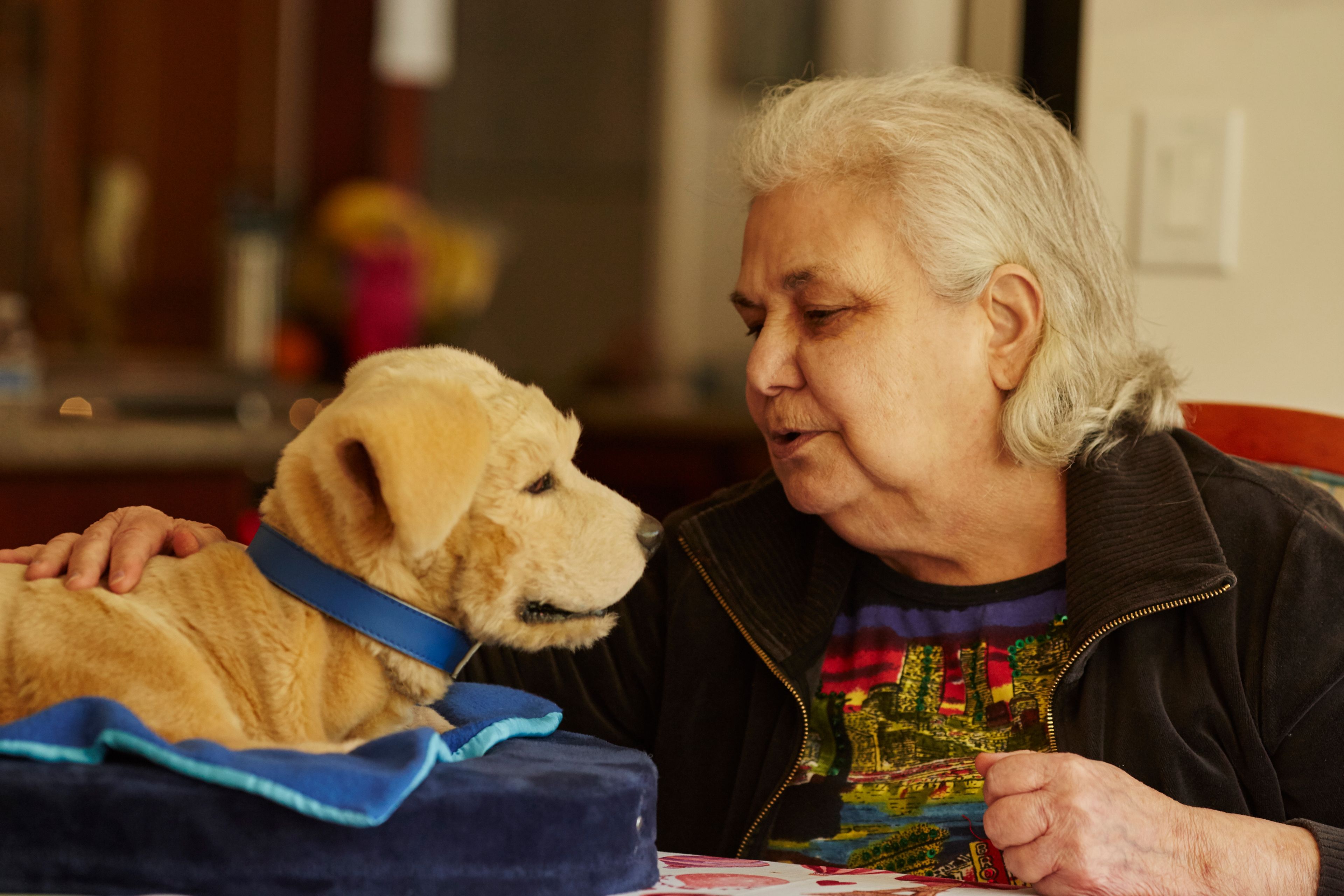 How robotic pets can provide comfort for older adults