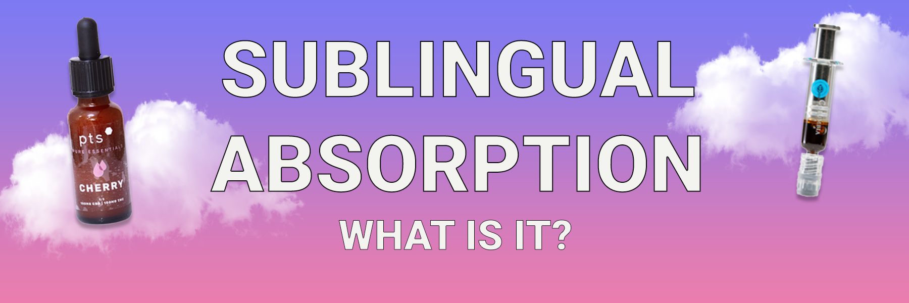 What is Sublingual Absorption?