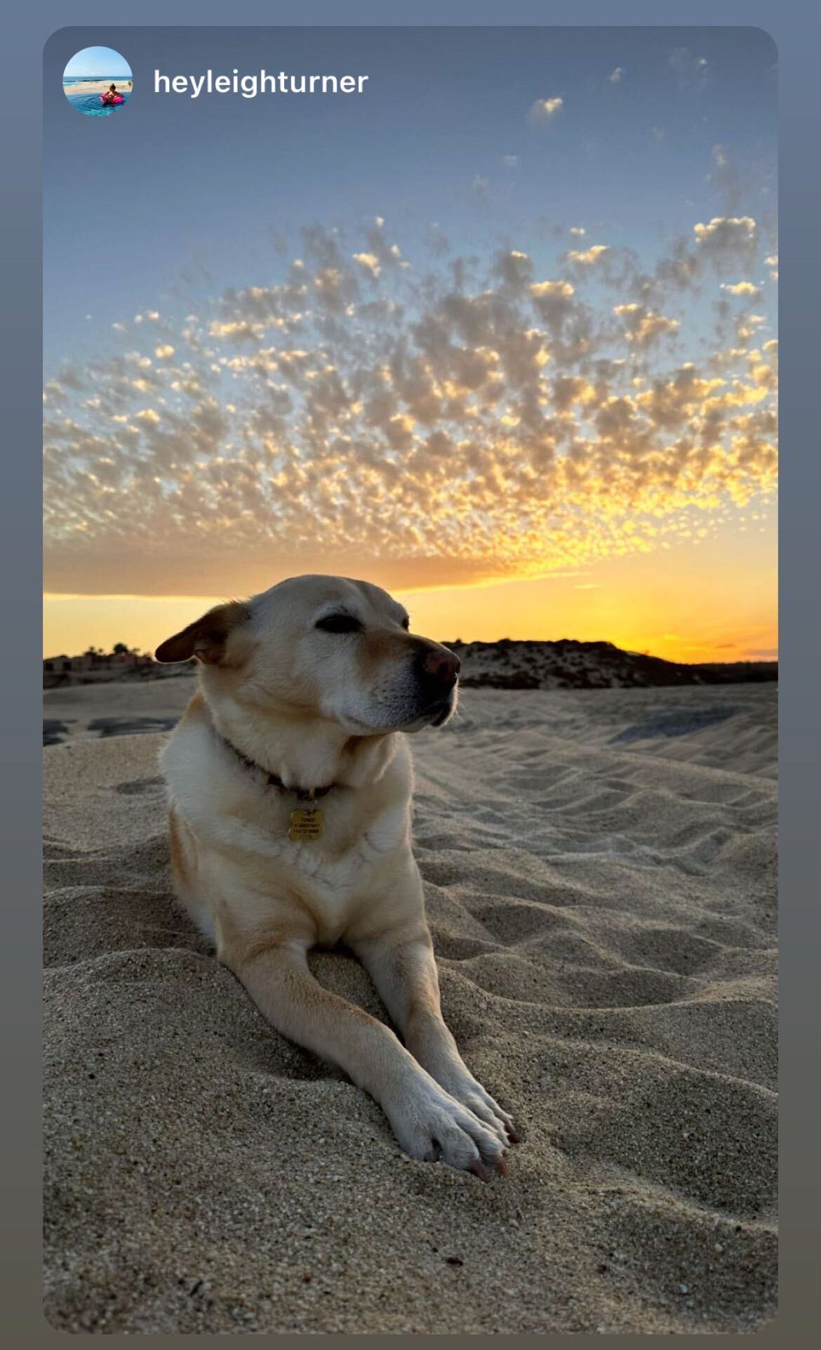 El Matador in Los Cabos