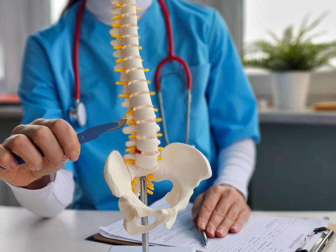 A person in blue scrubs points to a spine model with a pen, with a stethoscope around their neck and documents on the table.
