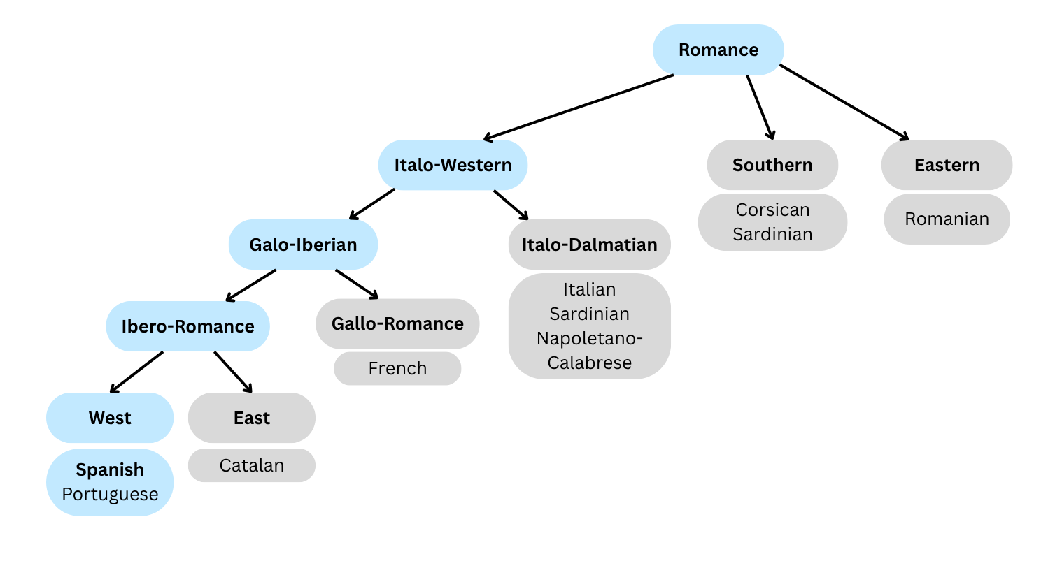A chart showing the place of the Spanish language in the Romance language family. The top of the chart is labeled "Romance," a cell that has three children: Eastern (Romaninan), Southern (Corsican, Sardinian), and, the highlighted group, Italo-Western. Italo-Western, in turn, has two children: Italo-Dalmatian (Italian, Sardinian, Napoletano-Calabrese), and, the highlighted cell, Galo-Iberian. Gallo-Iberian also has two children, Gallo-Romance (French), and, the highlighted branch, Ibero-Romance. Finally, Ibero-Romance has two children: East (Catalan) and West (Spanish, Portuguese).