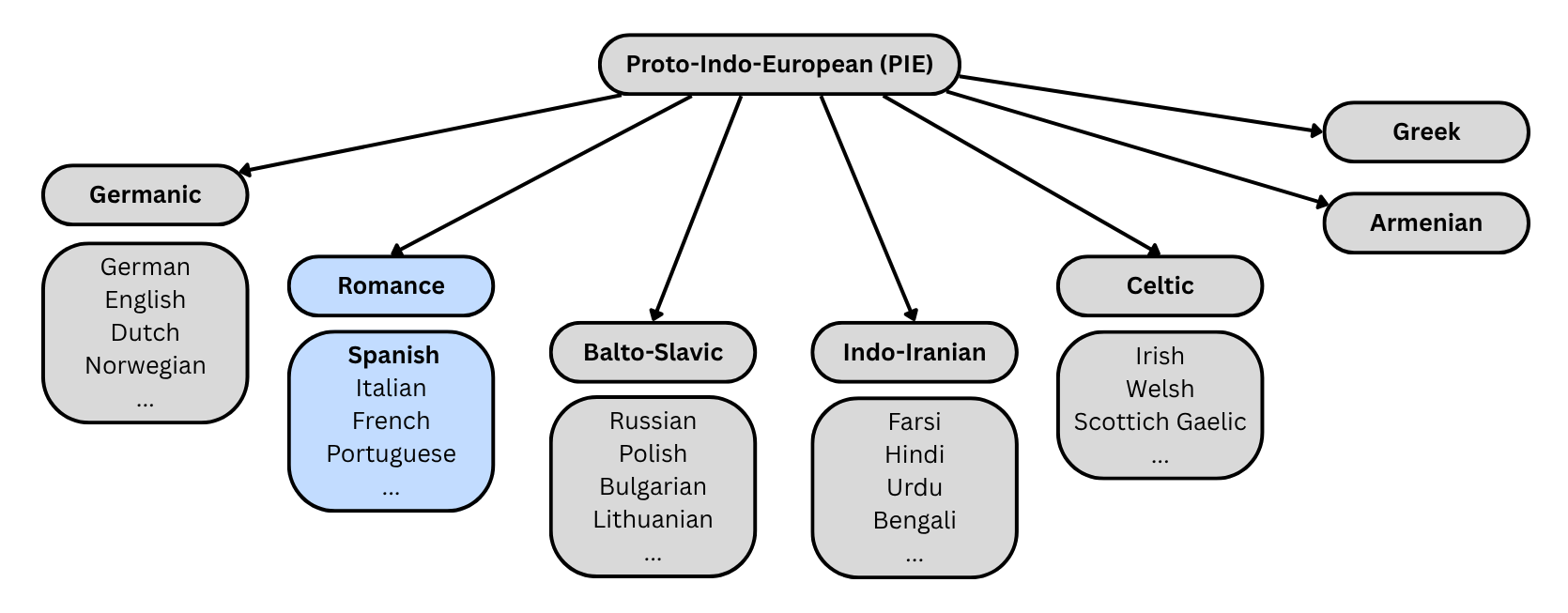 A chart of the Proto-Indo-European language family. A box at the top reads "Proto-Indo-European" and arrows go out to various language groups. The highlighted group is called "Romance" and contains four example languages: "Spanish," "Italian," "French," and "Portuguese." The other language groups are in gray. These are "Germanic" ("German", "English," "Dutch," "Norwegian"), "Balto-Slavic" ("Russian," "Polish," "Bulgarian," "Lithuanian"), "Indo-Iranian" ("Farsi," "Hindi," "Urdu," "Bengali"), and "Celtic" ("Irish," "Welsh," "Scottish Gaelic"), as well as two groups containing only one language each, "Armenian" and "Greek."