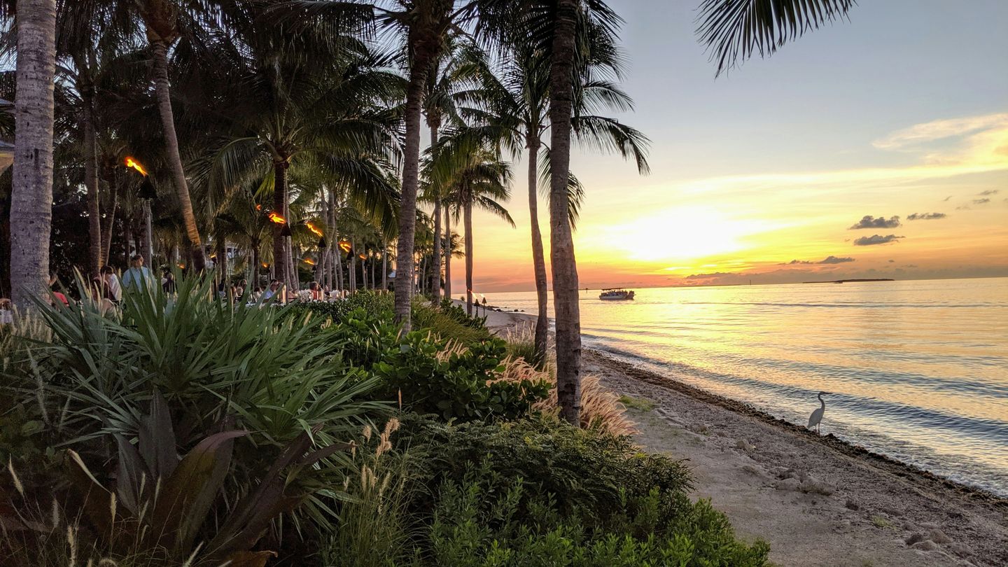 Sunset on a beach in the Florida Keys with lots of palm trees and a heron