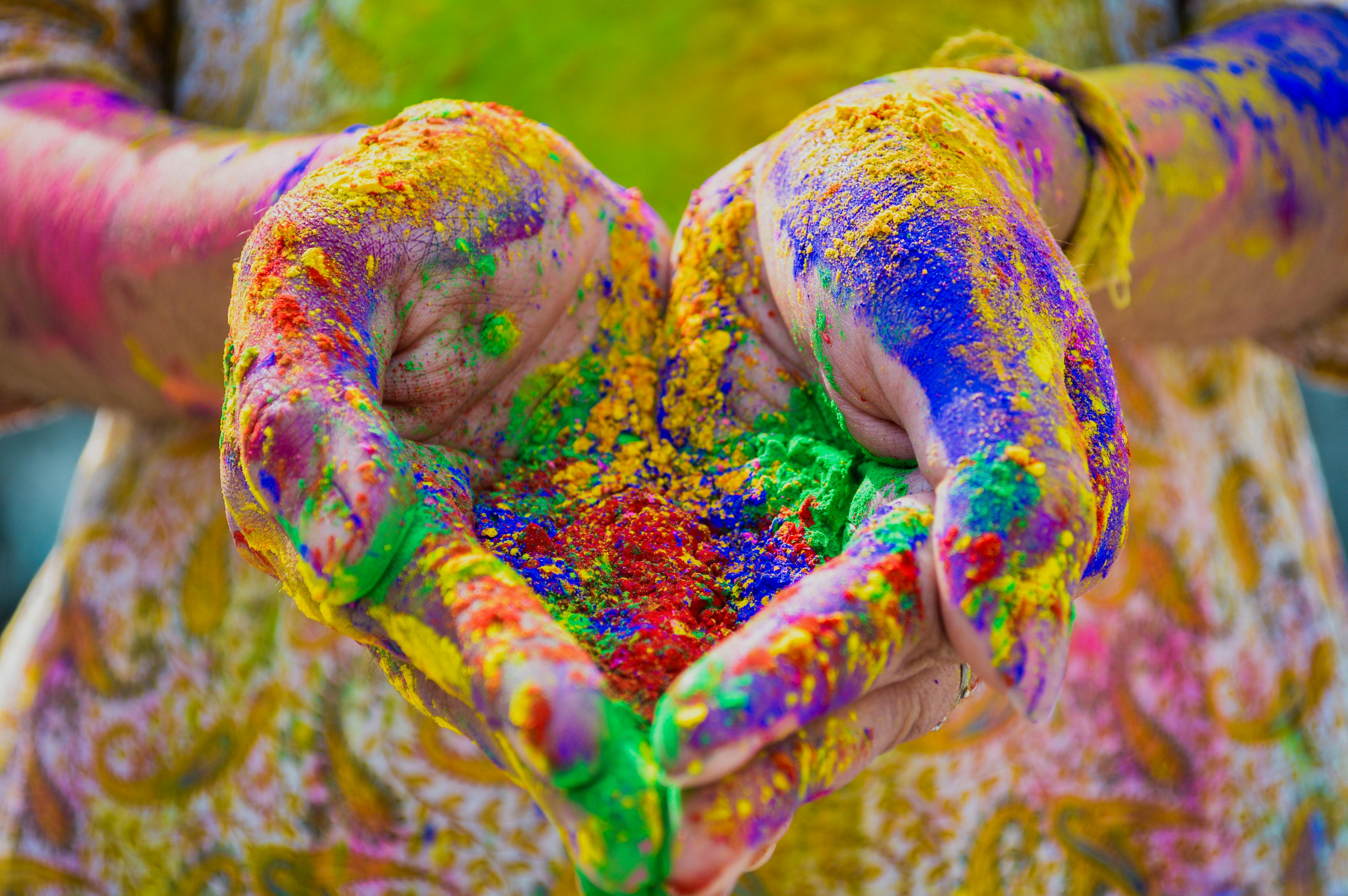 Holi South Africa 2027 image