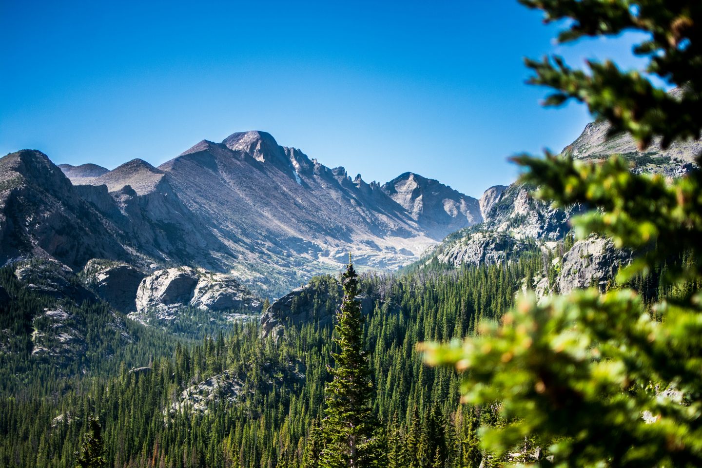 A valley with evergreen conifers in Bear Lake Trailhead, Estes Park, United States