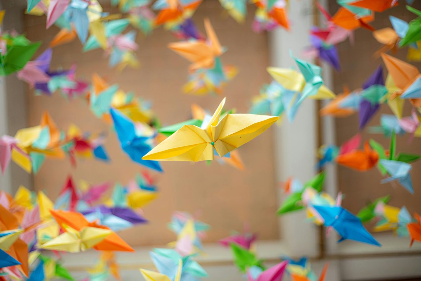 Colorful paper cranes
