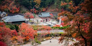 Autumn colors at a Japanese garden