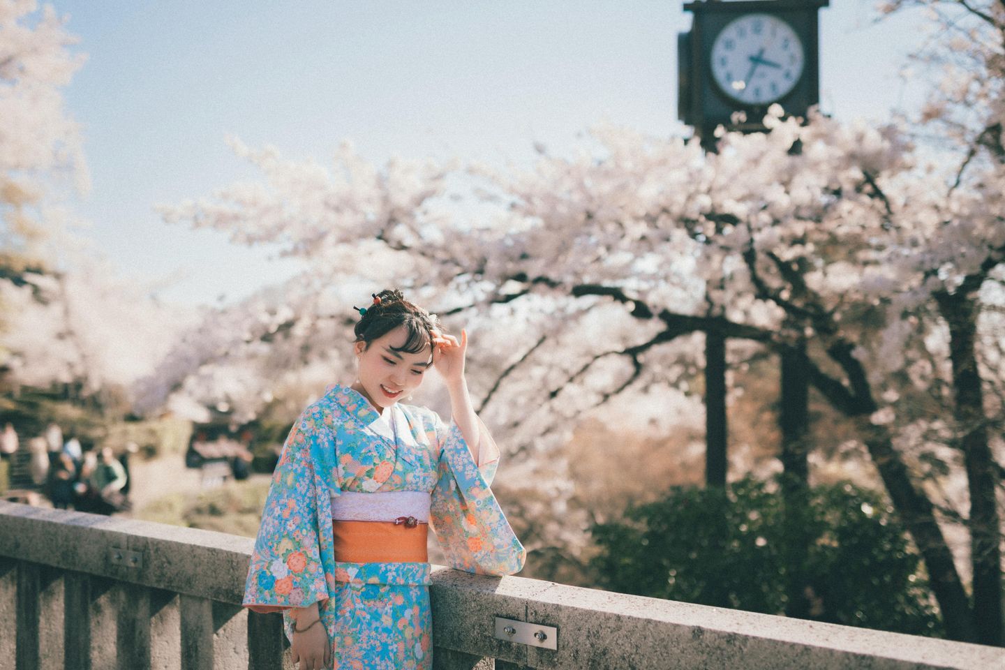 A girl poses in a kimono in front of cherry blossoms